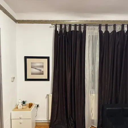 Muresenilor Apartment *